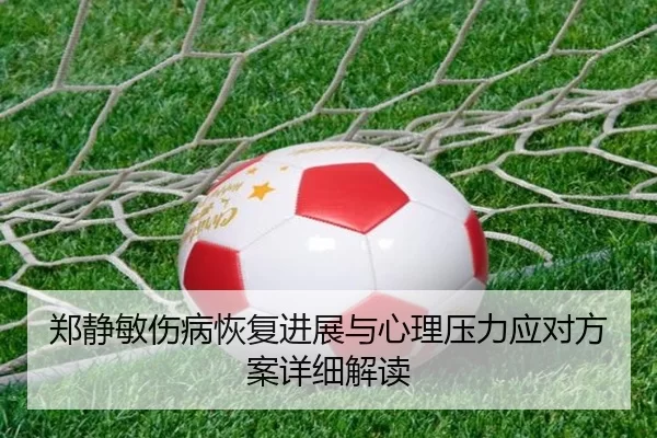 郑静敏伤病恢复进展与心理压力应对方案详细解读